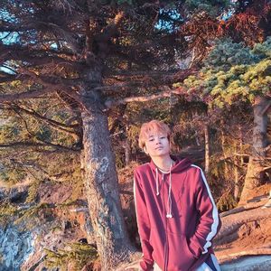 Meet your Posher, Red gabriel